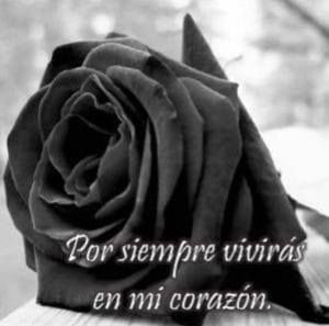 Meet your Posher, Reyna